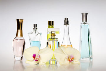 Image showing Perfume bottles