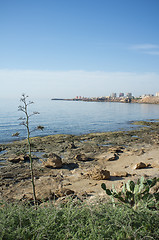 Image showing Torrevieja coast