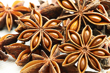 Image showing Star Anise