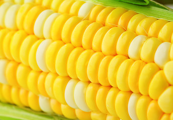 Image showing corn cob