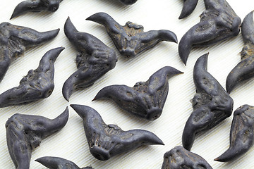 Image showing Horn Shaped Water Caltrop