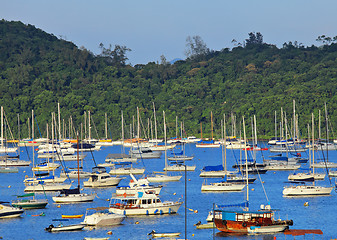 Image showing Yachts bay