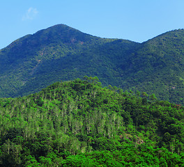 Image showing green mountain landscape with trees