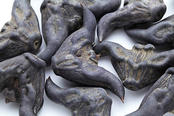 Image showing Water Caltrop