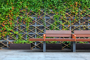 Image showing bench in front of green hedge