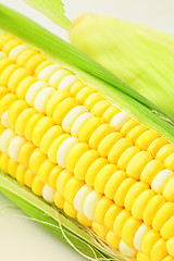 Image showing corn cob