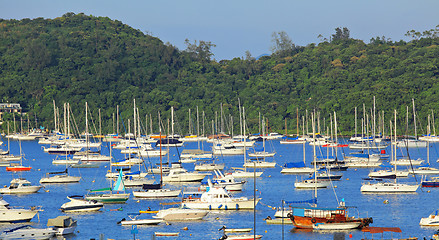 Image showing Yachts in bay