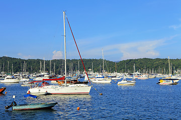 Image showing yacht in bay