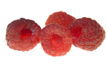 Image showing Raspberry