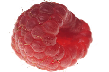 Image showing Raspberry