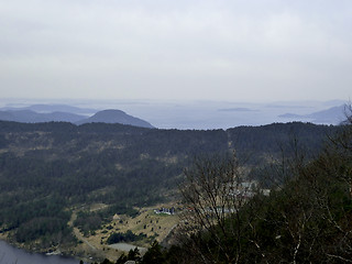 Image showing view over conifer forest in norway