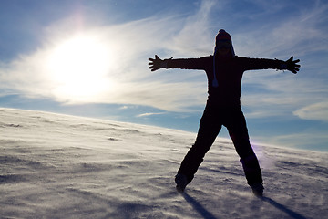 Image showing Winter silhoutte