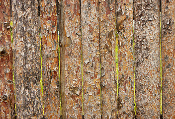 Image showing Fence from slab pines