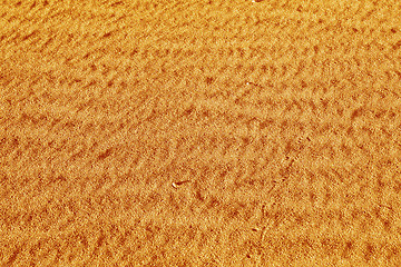 Image showing Orange sand. Background
