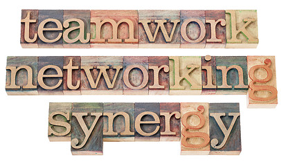 Image showing teamwork, networking and synergy