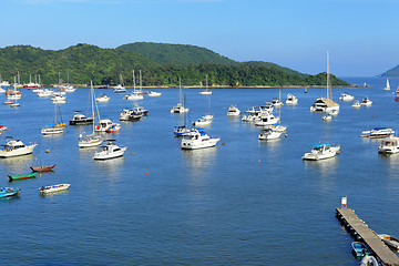 Image showing yachts in bay