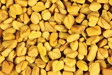 Image showing Fenugreek seeds