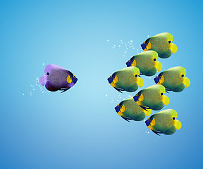 Image showing big angelfish leading group of angelfish