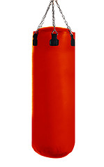 Image showing Punching bag