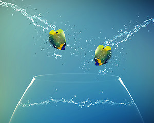 Image showing Angelfish jumping to other bowl