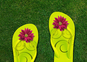 Image showing Colorful Flip Flops 