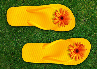 Image showing Colorful Flip Flops