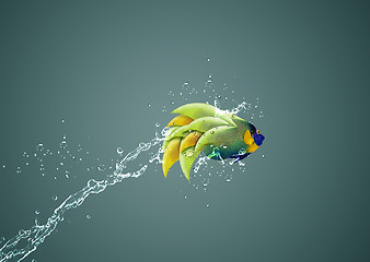 Image showing Angelfish jumping