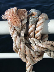 Image showing Knot on a rope