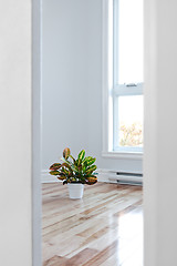 Image showing Bright room seen through the doorway