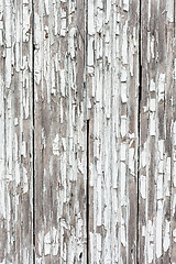 Image showing background of weathered white painted wood