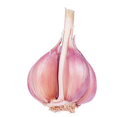 Image showing Fresh garlic