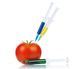 Image showing Genetically modified organism