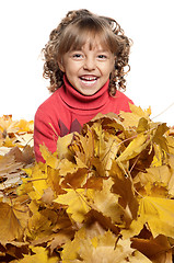 Image showing Portrait of a girl