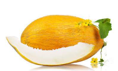 Image showing Cantaloupe melon