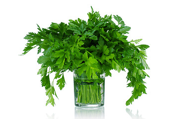 Image showing Fresh parsley