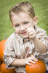 Image showing Cute Young Child Boy Enjoying the Pumpkin Patch.