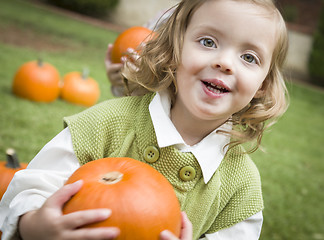 Image showing Cute Young Child Girl Enjoying the Pumpkin Patch.