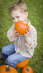 Image showing Cute Young Child Boy Enjoying the Pumpkin Patch.