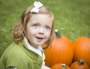 Image showing Cute Young Child Girl Enjoying the Pumpkin Patch.