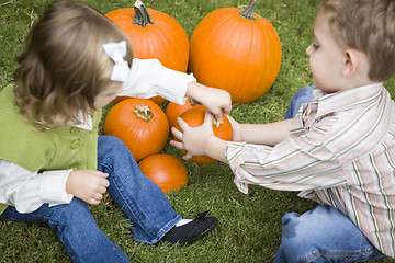 Image showing Cute Young Brother and Sister At the Pumpkin Patch