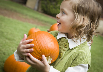 Image showing Cute Young Child Girl Enjoying the Pumpkin Patch.