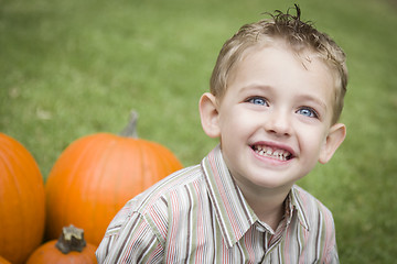 Image showing Cute Young Child Boy Enjoying the Pumpkin Patch.