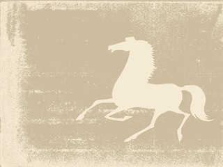 Image showing horse silhouette on grunge background