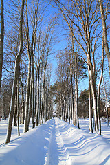 Image showing snow lane in town park