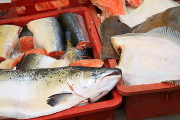 Image showing big fish on rural market