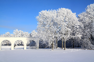 Image showing tree in snow near white wall 