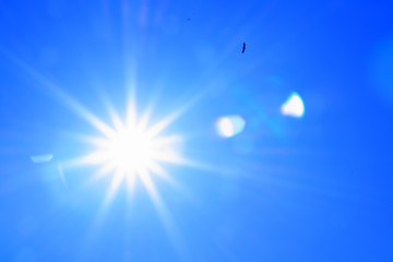 Image showing blackenning bird in blue sky