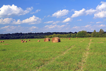 Image showing stack hay on summer field 