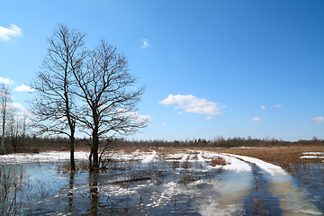 Image showing snow road in spring water