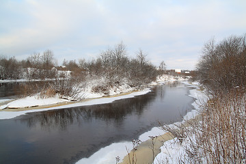 Image showing small bushes on river coast